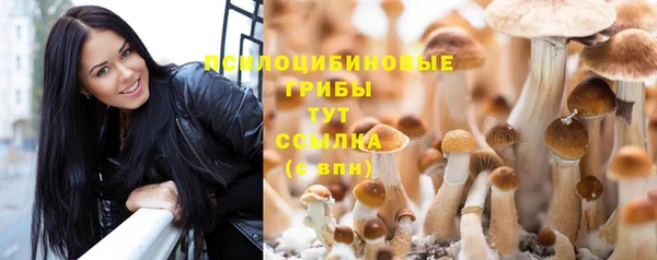 первитин Володарск